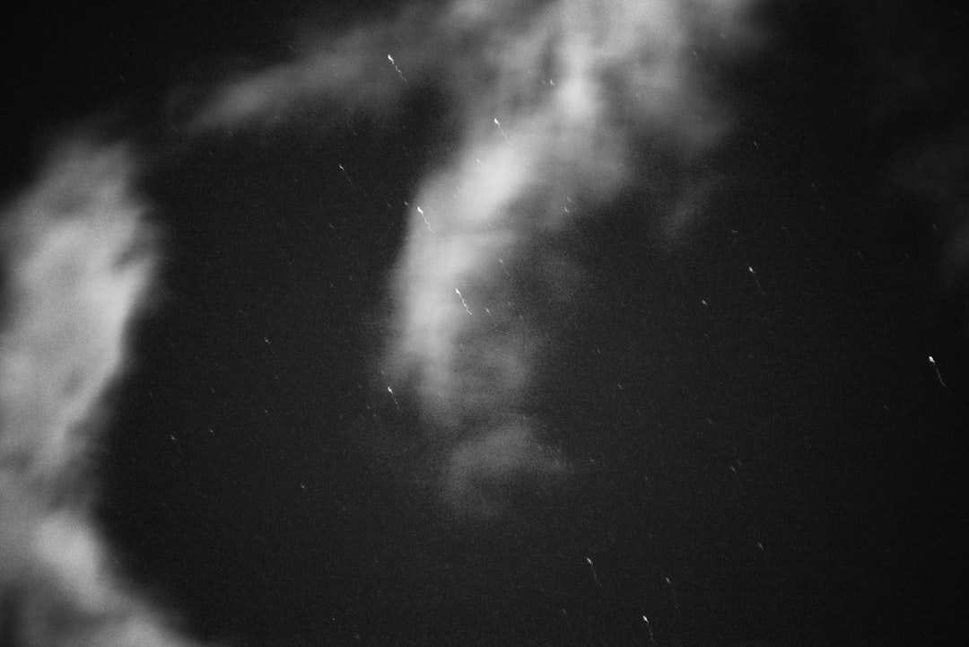 뱀과 신비로운 꿈의 세계