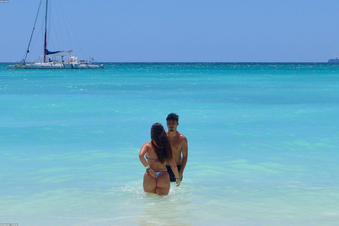 호랑이띠와 용띠 기질의 오행 분석